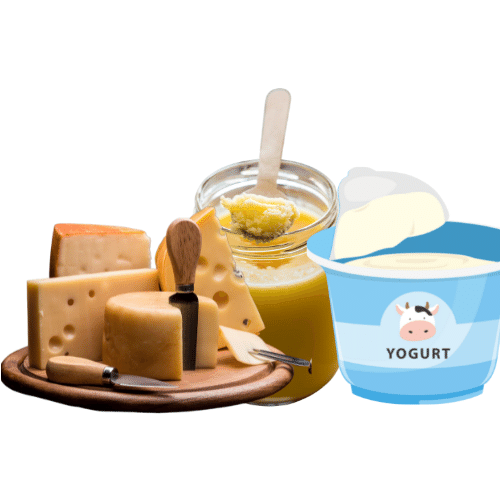 Premium Dairy Products image